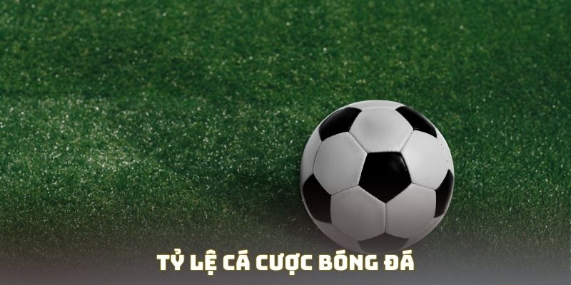 Hướng Dẫn Cách Đăng Ký Tài Khoản Bóng Đá Bảo Mật Tránh Rủi Ro